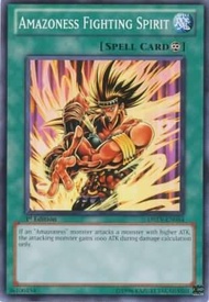 Yu-Gi-Oh! - Amazoness Fighting Spirit (DREV-EN054) - Duelist Revolution - 1st Edition - Common