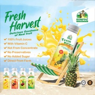 Rompine Fresh Harvest MD2 Pineapple Juice l 100% Pineapple Juice l No Sugar No Water No Preservative