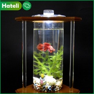[HATELI] Aquarium Tank Fish Creative Bamboo Aquarium Random Color Mini Desktop Aquarium（Contains Sand, Cover, Lamp）