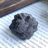 Prophecy Stone 埃及產地 埃及預言石 假象礦物 天然礦石 原礦