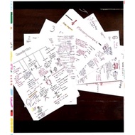 🌈[IGCSE NOTES] IGCSE Year 7 Science Notes (Biology)(soft copy)