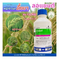 Loyant 800ml Racun rumpai Padi