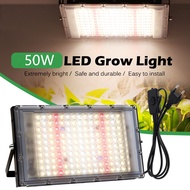 220V Full Spectrum LED Grow Light 50W ไฟปลุกต้นไม้ ไฟช่วยต้นไม้ตัวเร็ว แสงขาว แสงธรรมชาติ  มีสวิตช์ปิดเปิด สายไฟยาว1.5โมตร