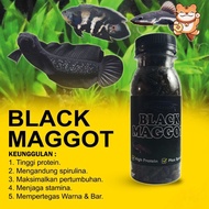 HITAM Black Maggot Black Maggot fish food channa asws rs and oscar rtc