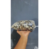 Pumice Or Pumice Stone