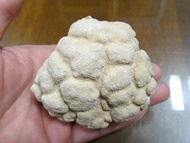 § Energy Ore § Thailand Religious Mineral Brain Relic 364g 7.4cm Laos Cave Ancient Mani Stone