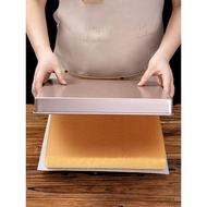 28cm Square Baking Pan X