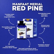 READY MERIAL Red Pine Korea Obat Kolesterol Pinus Merah Suplemen