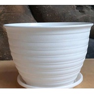 21 cm white wasp pot + coaster