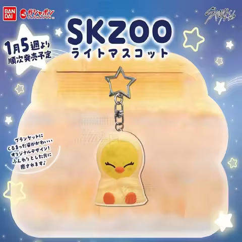 NEW KPOP StrayKids SKZOO DO IT KARMA blanket image acrylic keychain Bang Chan Felix Hyunjin backpack