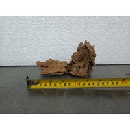 [QQ PET SHOP] DRIFTWOOD S FOR AQUARIUM, AQUASCAPE / KAYU UNTUK AQUARIUM, AQUASCAPE (15CM - 23CM) PART 4