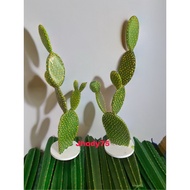 Mickey mouse artificial cactus similar to the reality, 60cm high - MM
