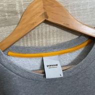 Gray Sweatshirt |Pancoat|