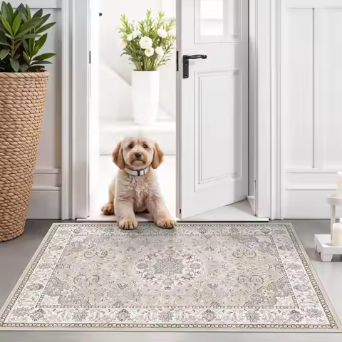 2x3 Entryway Area Rug - Neutral Kitchen Rug Runner Vintage Soft Floor Mat Non Slip Indoor Farmhouse