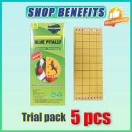 10 Pcs Lizard trap OD Lizard Sticky Trap / Lizard Killer Lizard trap glue Strong Adhesive Traps Geck