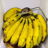 pisang raja (1sisir)