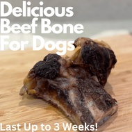 Kenna's Big Cow Beef Marrow Bone. Natural, Delicious, Dog Chews & Treats