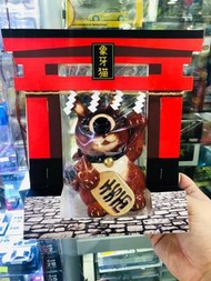 最後一隻 🦝Japanese Raccoon Dog 🦝Pachypodium Gracilius Cat 日本狸貓