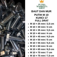 White bolts and nuts (100 pcs) M10 X 25mm/ 2.5 cm - M10 X 75/ 7.5 cm