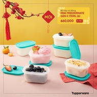 Gen II Tupperware Freezer Box 170ml (6 Boxes) - Tupperware