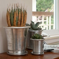 DULTON ALUMINUM POT WITH SAUCER 鋁製金屬花盆 連 接水盆 ｜❤️‍🔥  ………………………………….. NO 白豪刺·白火焰· SAD ·凱撒·妖炎·立可白·清櫻·塊根