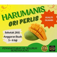 Harumanis Original Perlis