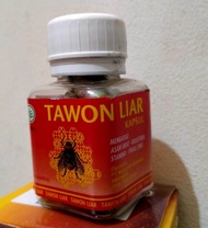 Tawon Liar Kemasan Botol Asli - Original
