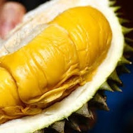 Anak Pokok Durian Musang King Hybrid