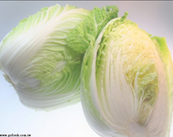山東大白菜(一粒)
