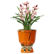 Light Luxury Drawing Gold Ceramic Flowerpot Nordic ins Style Creative Household Flowerpot Ceramic Bo