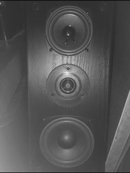 平放 優質HI -FI 膽機無源喇叭一對 揚聲器 High quality HI-FI tube amplifier passive speaker a pair