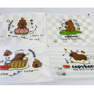 Cabybara Cartoon A4 zip Bag for Pens and Documents | Lovely Cabybara File Cover