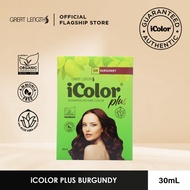 iColor Plus Shampoo-In Hair Color Burgundy 30ml