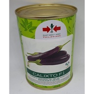 calixto eggplant seeds east west