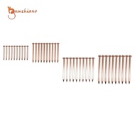 [Gamchiano] 10 Pieces Reliable Copper Nails for Home Improvement DIY Hobbies Landscaping