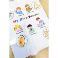 [QUIET BOOK 成品安静书]【MY 5 SENSES】 MATCHING/ Montessori Toy Toddler Early Learning Busy Bag Book Colour