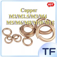 Spring washer ng tanso M2/M2.5/M3/M4/M5/M6/M8/M10/M12 [TF-FC-1]
