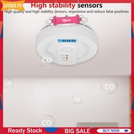 Carbon Monoxide Detector Wireless CO Alarm Battery Powered for Home Warehouse