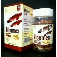 Albumex minyak ikan gabus albumin