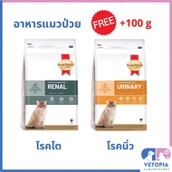 smartheart gold 400 g renal และ urinary อาหารแมวโรคไต และ โรคนิ่ว