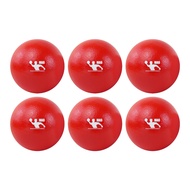 Dodgeball Training Ball (6 Balls / 1 Ball) Approved by World Dodgeball Federation (WDBF)