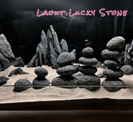 Lucky Stone ตกแต่งตู้ปลา ตู้ไม้น้ำ จัดสวน