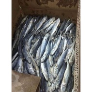 [ ready stock ] ikan masin ogak/ sardin import dari Indonesia original