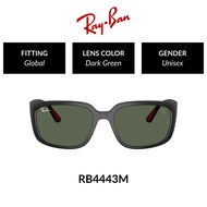 RAY-BAN - RB4443M F60271