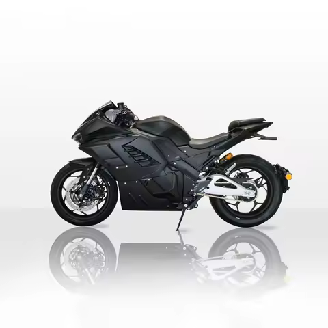 XDS Motorcycle Mid Motor 3000W 6000W 15000W Aluminum Rear Fork RCS Brake Calipers ELectric Motorcycl