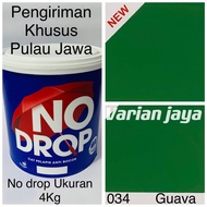 TERLARIS Cat Tembok No drop 4Kg Nodrop Anti Bocor Warna Hijau 034 Guava