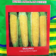 Benih Bibit Jagung Manis Unggul Super Manis