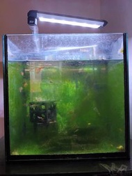魚缸連LED燈