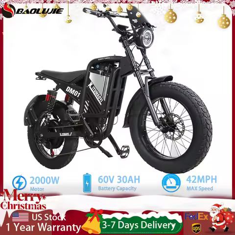 BAOLUJIE DM01 Moto Electric Bicycle 60V 30AH Battery 42 MPH Electric Bike E-Bike Adult for Electric 