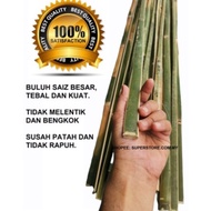 Buluh Pancang/Bamboo Stick/Buluh Pancang Pancing/Bamboo Plant Stakes/Pancang Pokok/Buluh Wau/Garden 